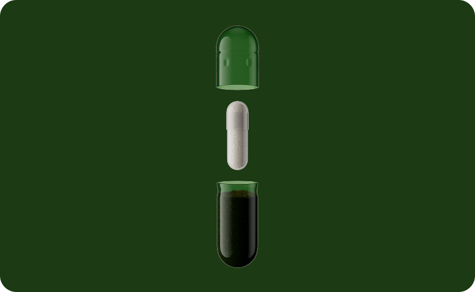 Daily Synbiotic